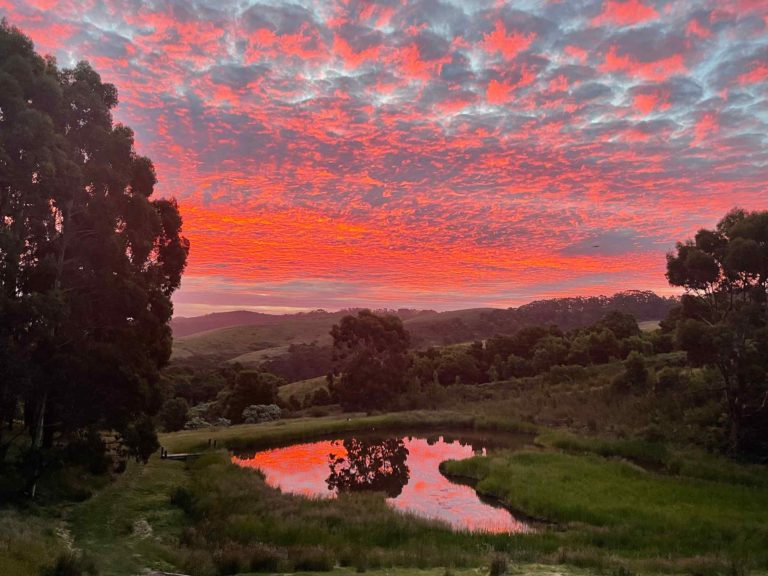 Summer sunset view from cottage accommodation at Johanna river farm and cottages Great Ocean Road Johanna Otways
